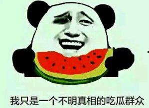 吃瓜群众群qq,网络社交的趣味与争议