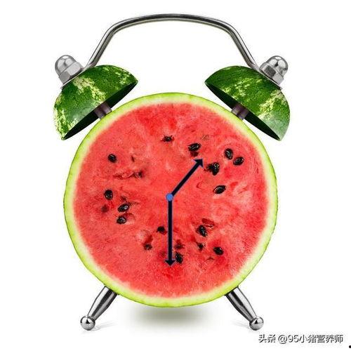 吃瓜西瓜小傻瓜,揭秘“吃瓜西瓜小傻瓜”的欢乐故事