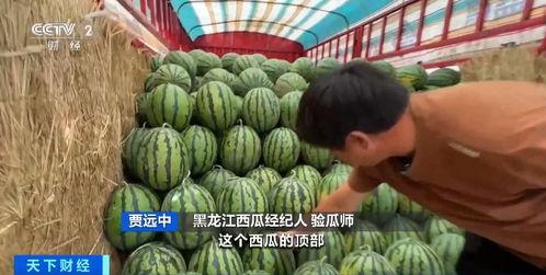 吃瓜都要钱,揭秘网络时代的新消费现象