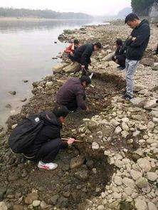 漓江吃瓜群众拍照,捕捉夏日悠闲时光