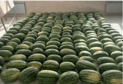 陇南最近吃瓜新闻,最新吃瓜新闻盘点