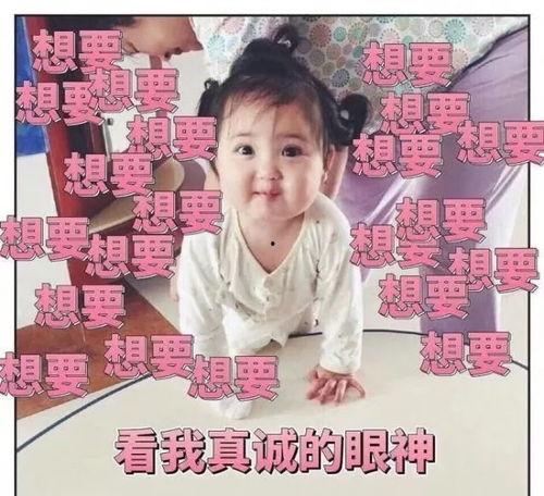 小妈吃瓜小说,揭秘娱乐圈背后的秘密与真相