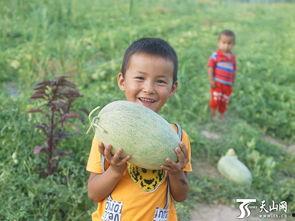 儿童吃瓜群众图片,小瓜娃儿欢乐吃瓜瞬间
