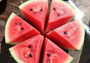 正是吃瓜好时节,正是全民吃瓜好时节