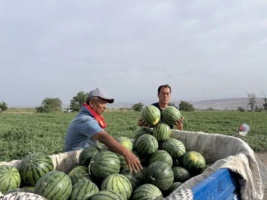 吃瓜林县,揭秘这个瓜果飘香的小县城的传奇故事