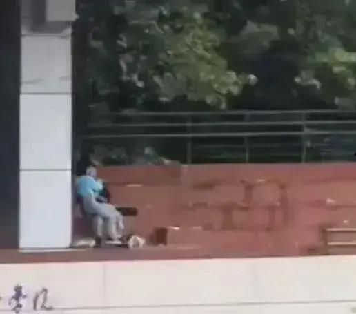 某学校操场吃瓜,校园生活新风尚”