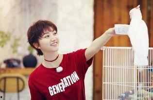 许率智吃瓜,揭秘娱乐圈幕后真相