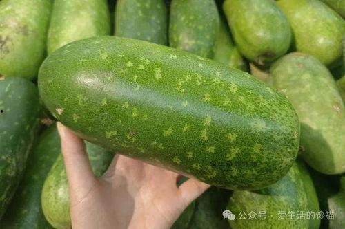 春天吃的瓜,时令美味尽享春意盎然