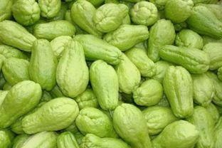 阳光明媚吃瓜,夏日里的悠闲时光