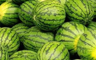 道具吃瓜西瓜妆吃瓜群众,揭秘吃瓜群众的时尚新潮流