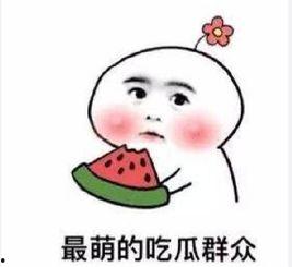 吃瓜群众没看到瓜,吃瓜群众为何没看到瓜背后的真相