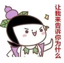 吃贝贝瓜爱放屁吗,美味与放屁的奇妙关系揭秘  第2张