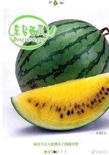 今日吃瓜打不开 第2张 今日吃瓜打不开 第2张