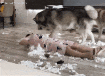 二狗子吃瓜,揭秘娱乐圈背后的秘密